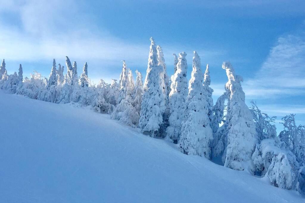 The Mountainside By Escapades Tremblant Lägenhet Mont-Tremblant Exteriör bild